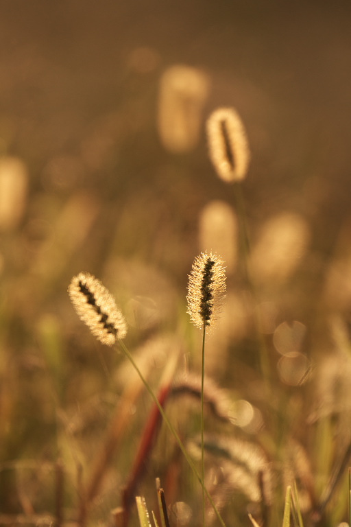 f0294190_20104470.jpg