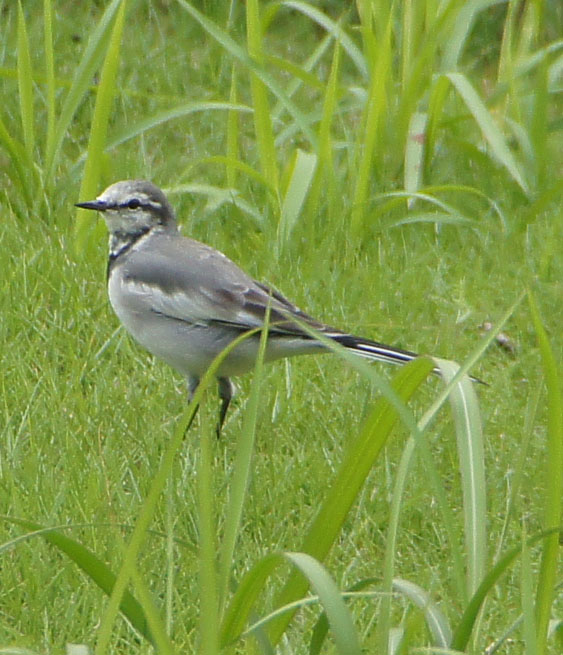 c0139591_16295.jpg