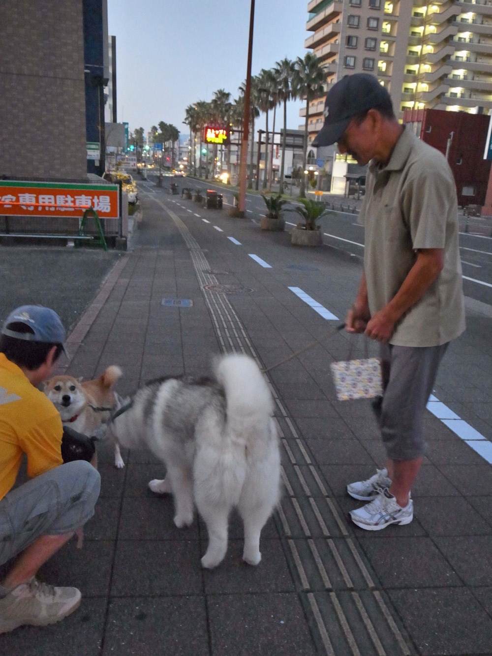 咲いた咲いた (^o^)_c0049299_22405124.jpg