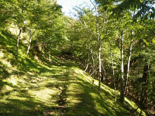 f0187402_20174323.jpg