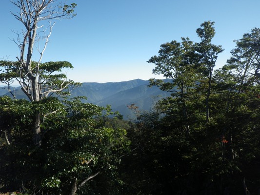 f0187402_2022671.jpg