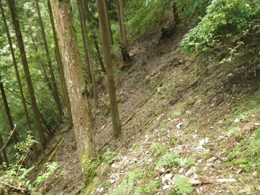 f0187402_20231892.jpg