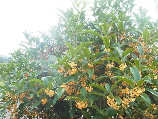 c0238603_1030213.jpg