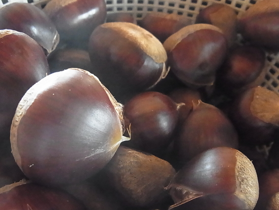 c0238603_10303961.jpg