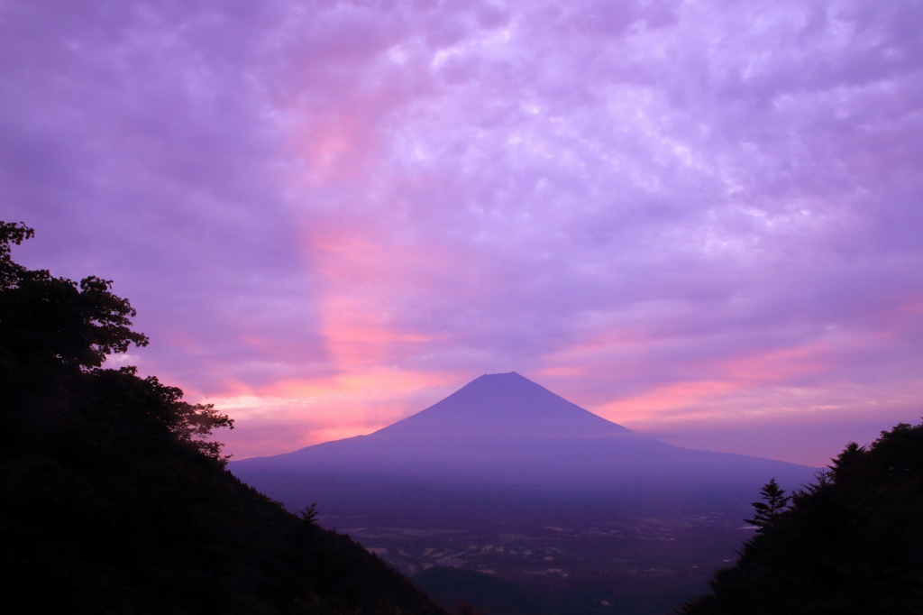 a0188405_11434349.jpg