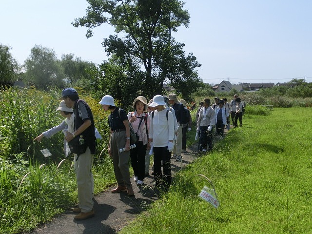 暑い中250人以上の皆さんに参加いただいた「のんびり 彼岸花ウォーク」_f0141310_7291980.jpg