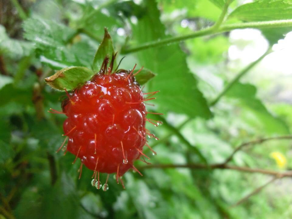b0183911_14294098.jpg