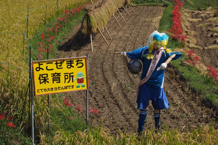 寺坂棚田_a0268412_22262573.jpg
