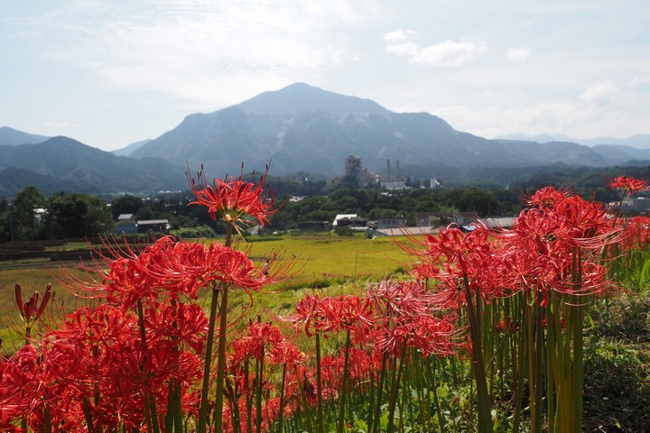 寺坂棚田_a0268412_22263238.jpg