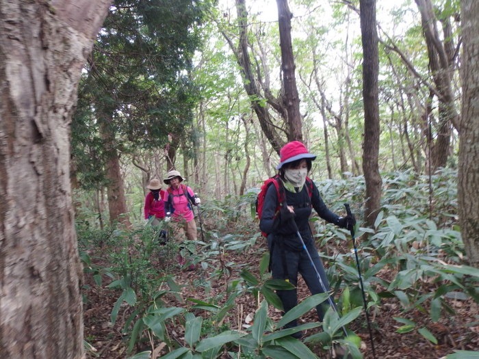犬伏山登山_c0116915_0404844.jpg