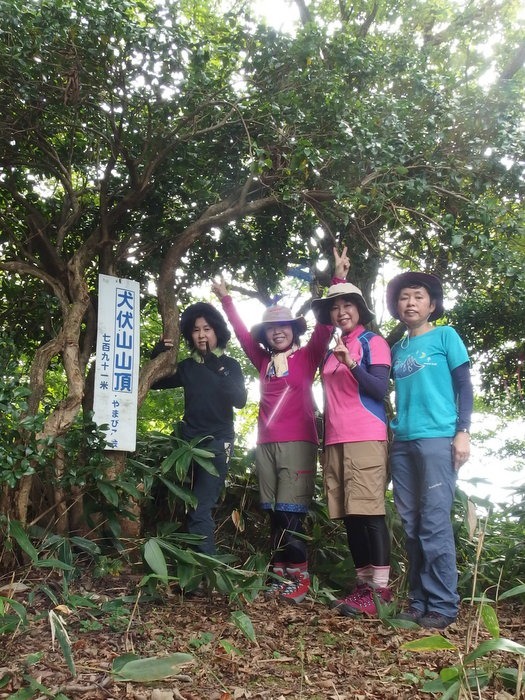 犬伏山登山_c0116915_042432.jpg