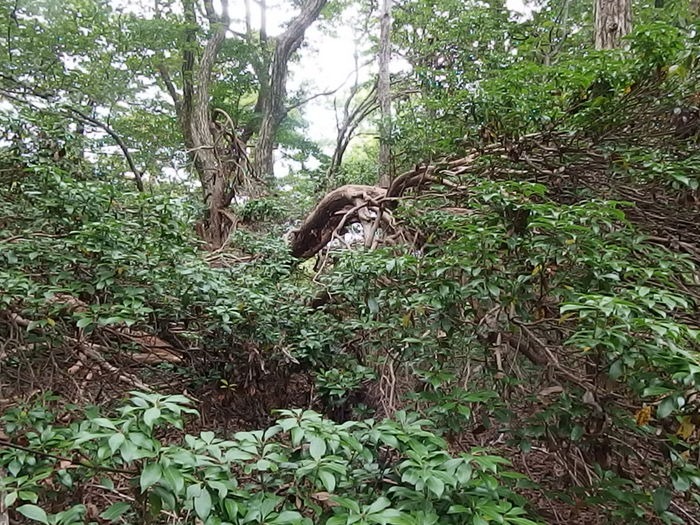 犬伏山登山_c0116915_0442052.jpg
