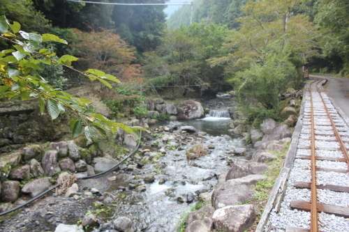 e0101917_07052136.jpg