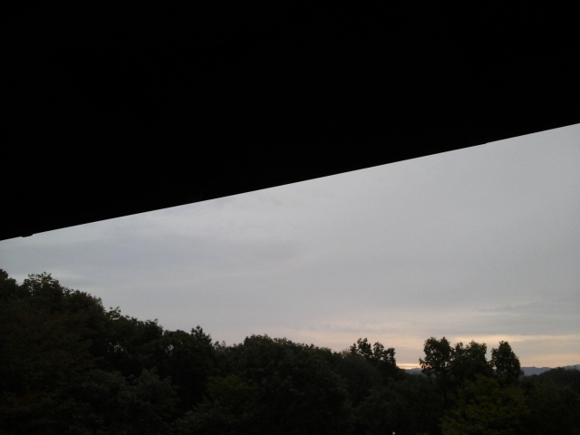f0253917_61150.jpg