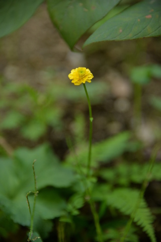 e0335926_20225251.jpg