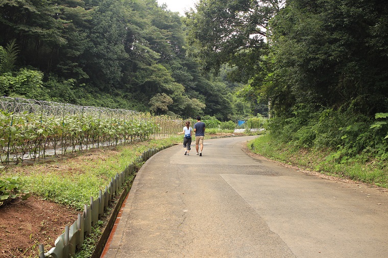 f0118426_01150338.jpg
