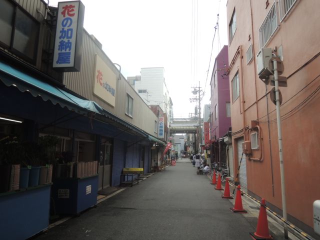 a0254130_1255877.jpg