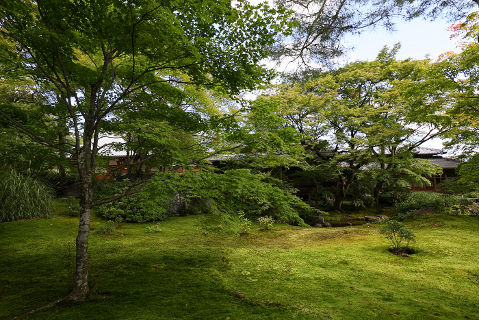 「京の夏の旅」40回記念！秋めく宝厳院で朝ごはん（後編）_b0169330_23211288.jpg