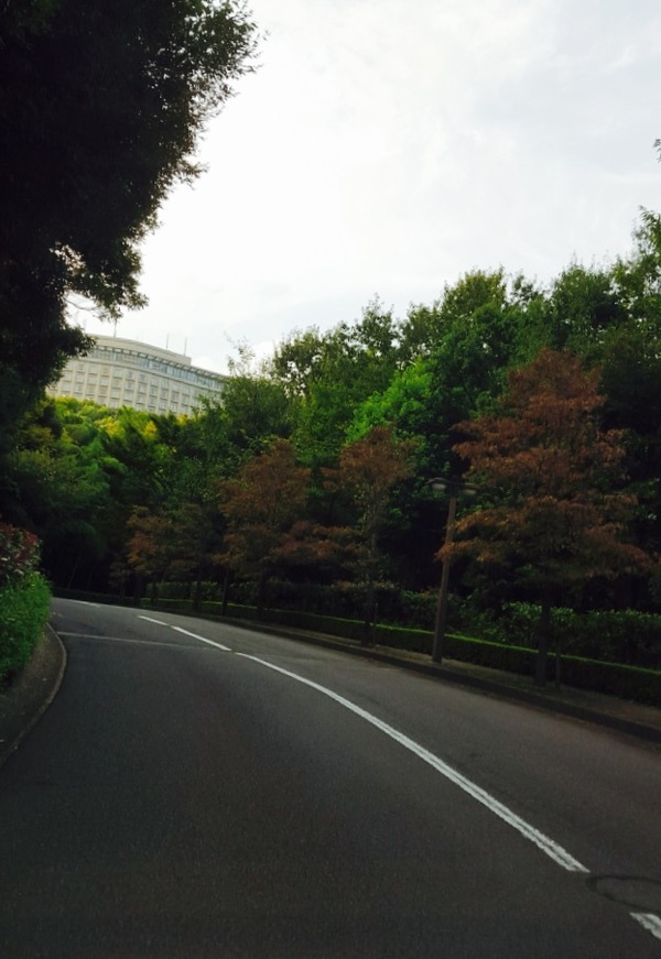 d0269832_17534832.jpeg