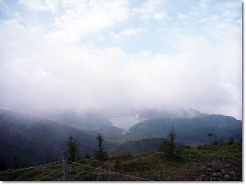 d0140133_93547.jpg