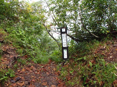 e0156534_20201869.jpg