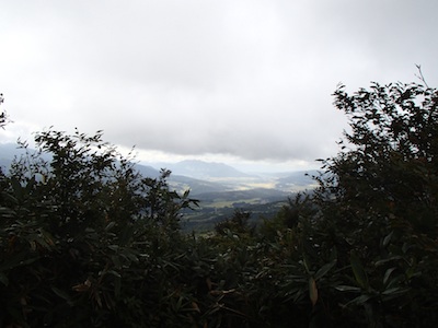 e0156534_20205479.jpg