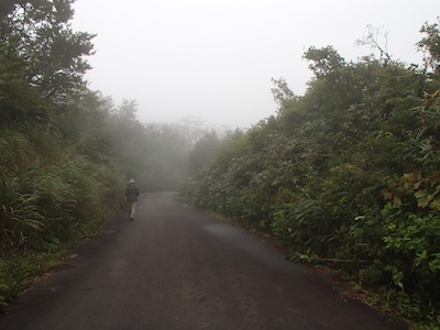 e0156534_20212891.jpg