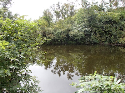 e0156534_2021442.jpg