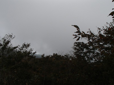 e0156534_2021696.jpg