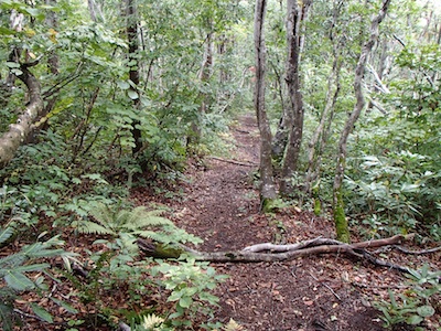 e0156534_2022066.jpg