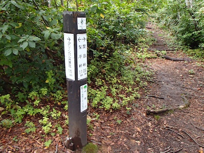 e0156534_20222520.jpg