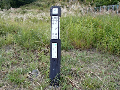 e0156534_20252283.jpg