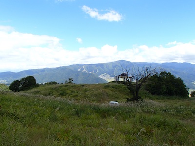 e0156534_20253440.jpg