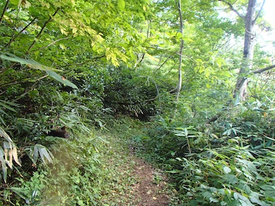 e0156534_20254891.jpg