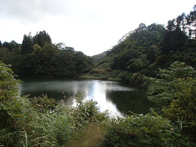 e0156534_2026021.jpg