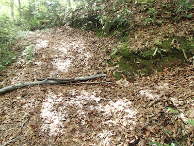 e0156534_20262991.jpg