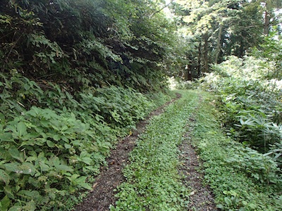 e0156534_2027933.jpg