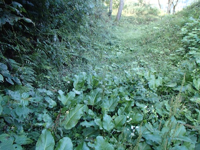 e0156534_20281283.jpg