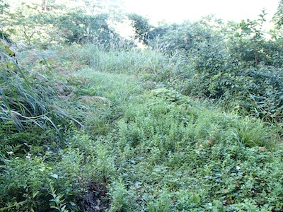 e0156534_20283392.jpg