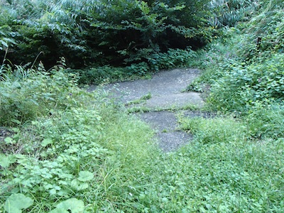 e0156534_20293369.jpg