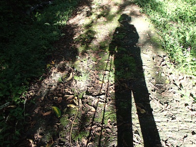 e0156534_20294520.jpg