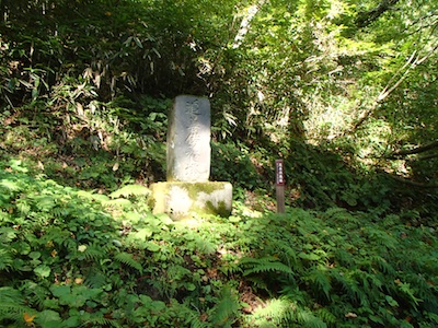 e0156534_2029456.jpg
