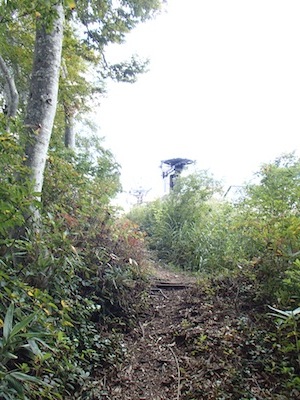 e0156534_20441157.jpg