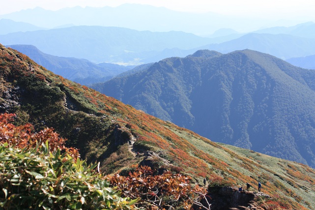 c0178336_1640860.jpg