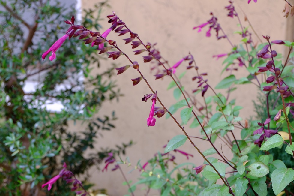 c0298740_22574915.jpg