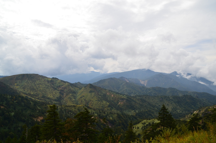 c0202242_8281627.jpg