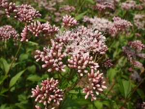 f0095745_01302525.jpg