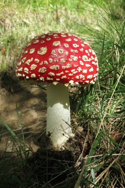 e0356046_03244508.jpg