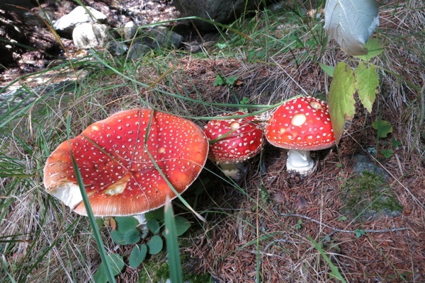 e0356046_03251647.jpg
