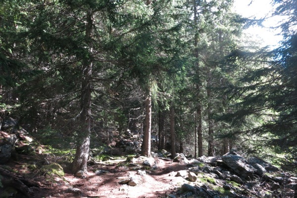 e0356046_04093439.jpg
